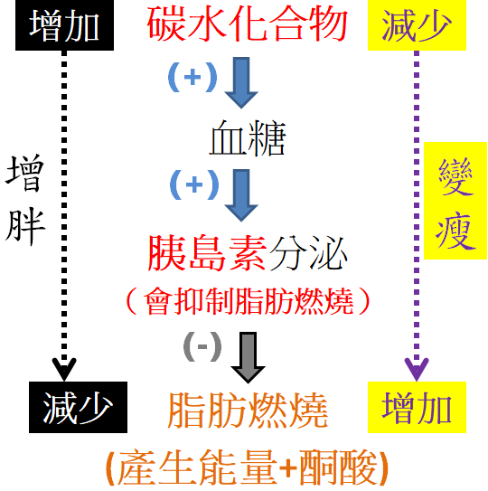 低碳水化合物能降低胰島素，才能燃燒體脂肪以減重和生酮